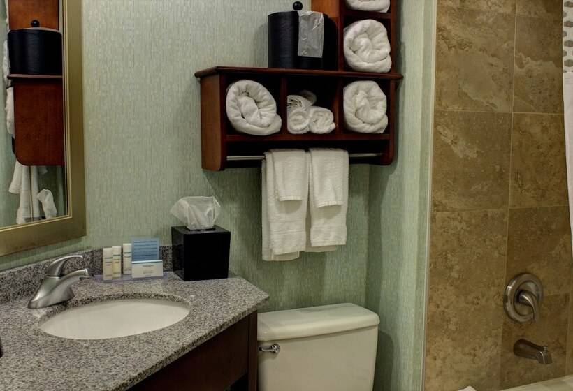 غرفة قياسية سرير كينج, Hampton Inn Daytona Speedway