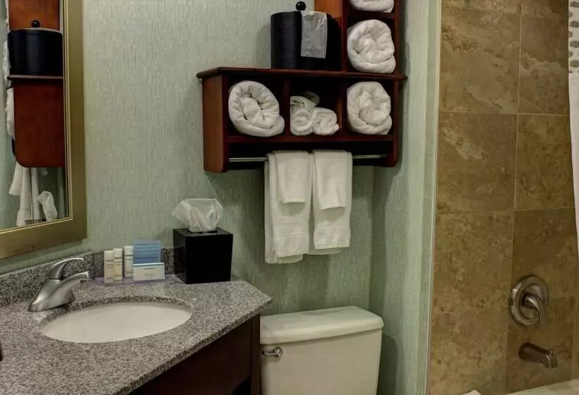 Standard-huone King-vuode, Hampton Inn Daytona Speedway