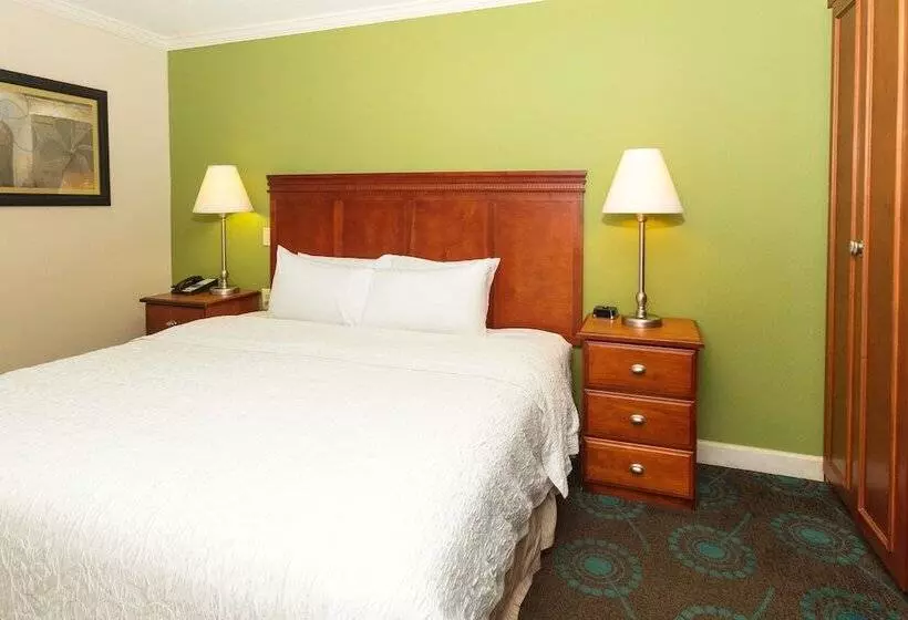 Standard-huone King-vuode, Hampton Inn Daytona Speedway