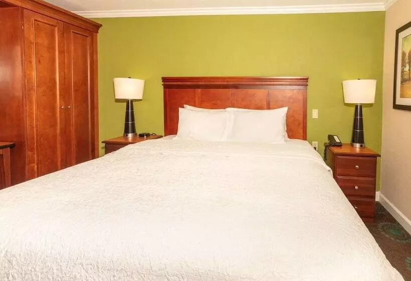 Standard-huone King-vuode, Hampton Inn Daytona Speedway