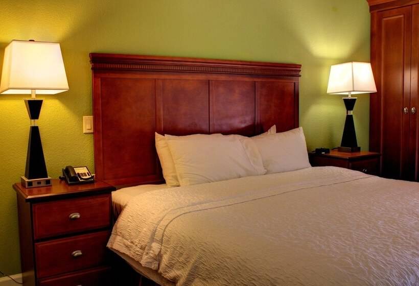 غرفة قياسية سرير كينج, Hampton Inn Daytona Speedway