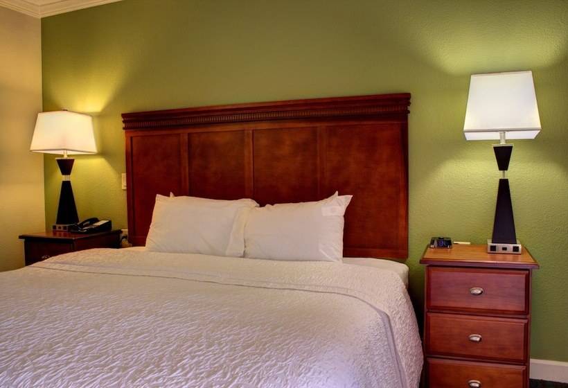 غرفة قياسية سرير كينج, Hampton Inn Daytona Speedway