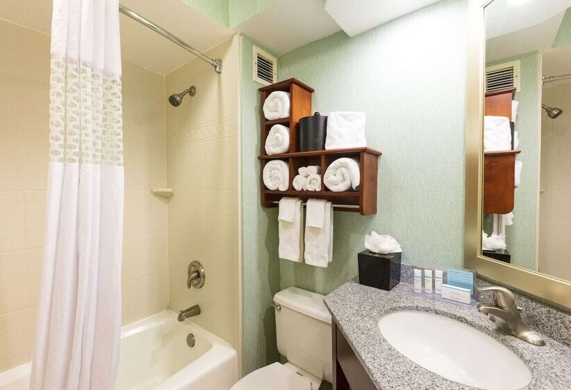 غرفه قياسيه سريرين مزدوجين, Hampton Inn Daytona Speedway