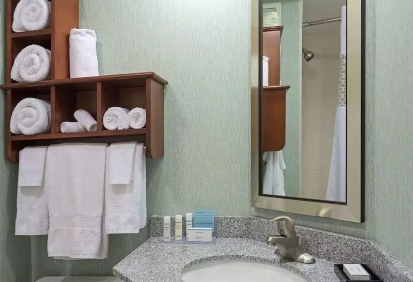 Standard-huone 2 Parivuodetta, Hampton Inn Daytona Speedway
