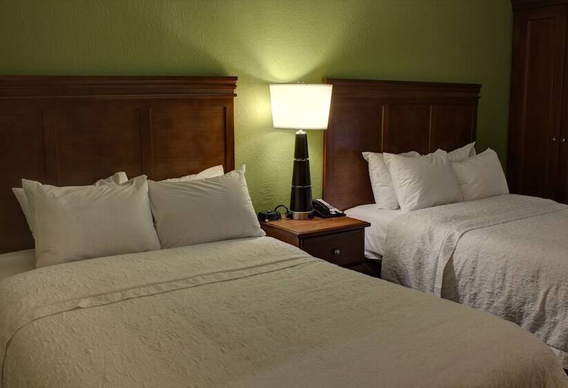 غرفه قياسيه سريرين مزدوجين, Hampton Inn Daytona Speedway
