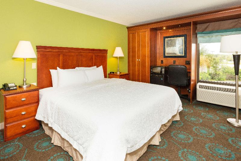 غرفة قياسية سرير كينج, Hampton Inn Daytona Speedway