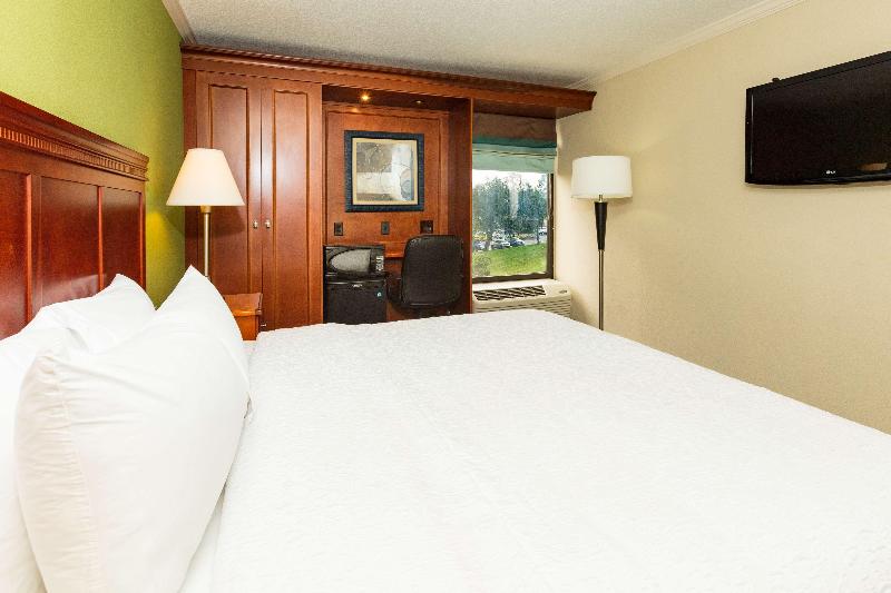 غرفة قياسية سرير كينج, Hampton Inn Daytona Speedway