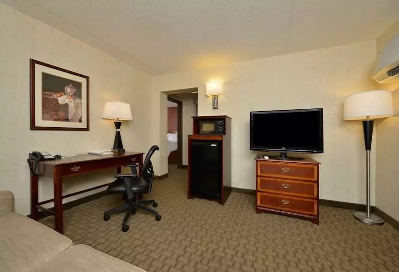ハイドロマッサージバス付きスイート, Hampton Inn East Aurora