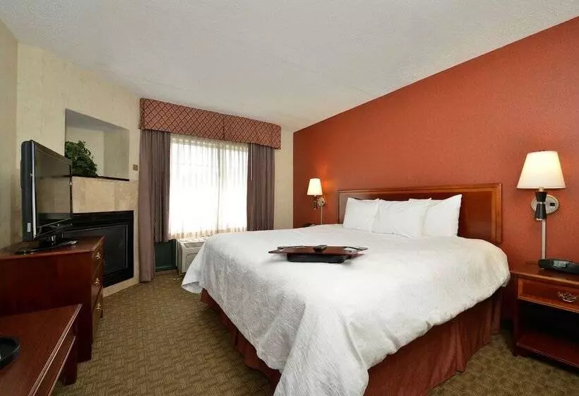 ハイドロマッサージバス付きスイート, Hampton Inn East Aurora