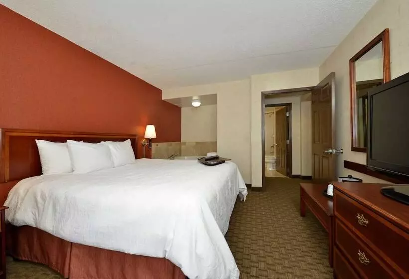 ハイドロマッサージバス付きスイート, Hampton Inn East Aurora