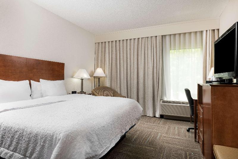 キングサイズベッドのスタンダードルーム, Hampton Inn Ft. Chiswell Max Meadows