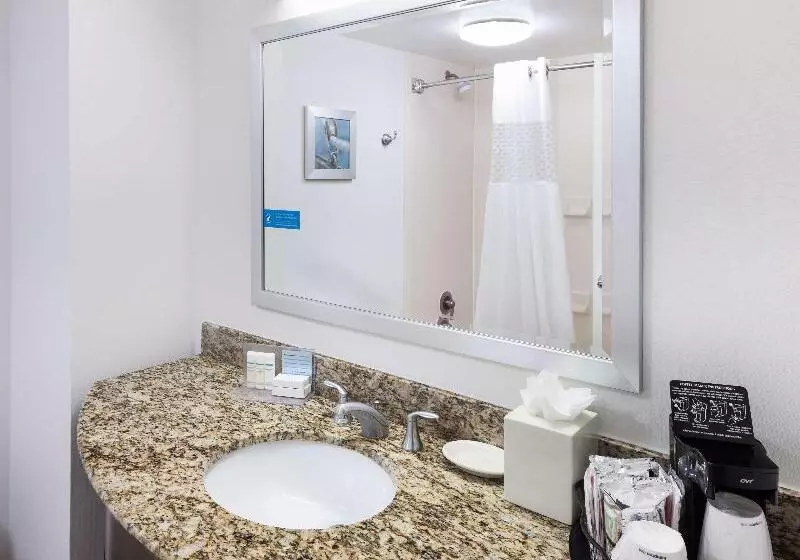 اتاق استاندارد با تخت بزرگ, Hampton Inn Ft. Lauderdale Airport North Cruise Port