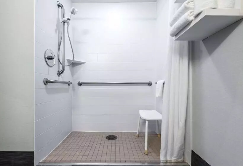 身障者適用スタンダードルーム, Hampton Inn Kansas Citylee S Summit