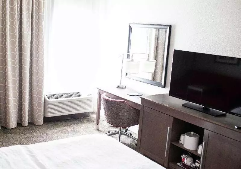 キングサイズベッドのスタンダードルーム, Hampton Inn Lancaster
