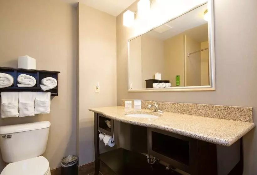 スタンダードルーム, Hampton Inn Marshall