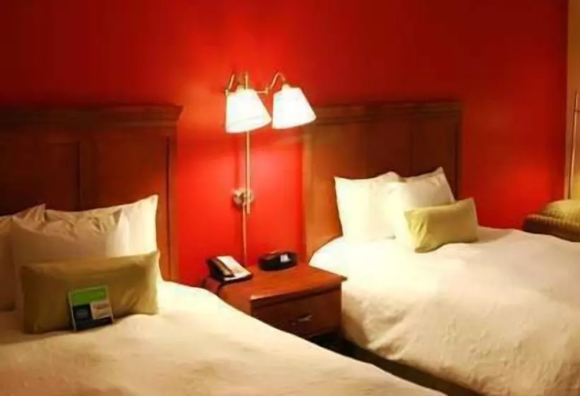 اتاق استاندارد با 2 تخت دوبل, Hampton Inn Natchitoches