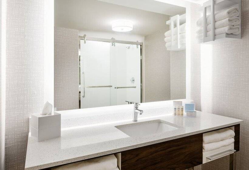 带2个双人床的标准工作室, Hampton Inn Richmondmidlothian Turnpike