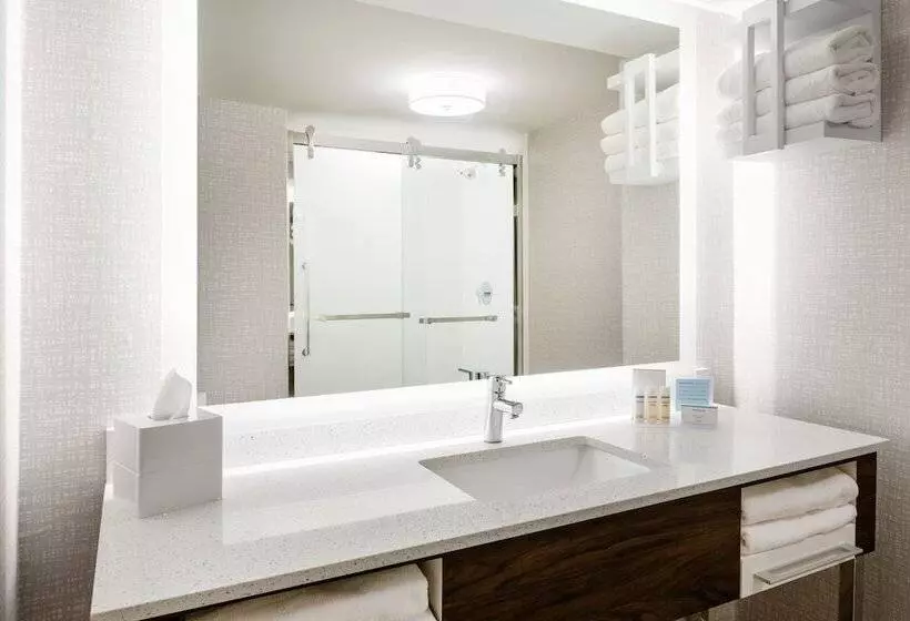 اتاق استاندارد با 2 تخت دوبل, Hampton Inn Richmondmidlothian Turnpike