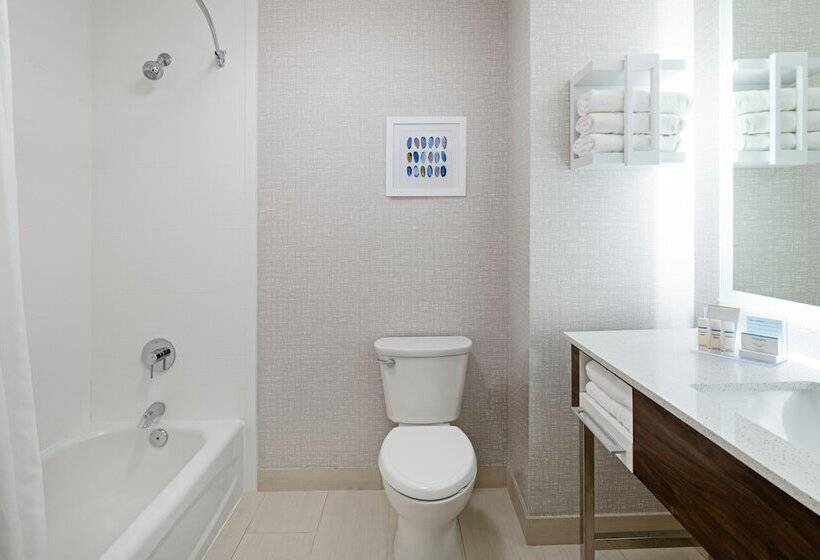 스탠다드 룸 더블 침대 2개, Hampton Inn Richmondmidlothian Turnpike