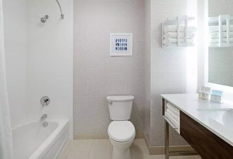 اتاق استاندارد با 2 تخت دوبل, Hampton Inn Richmondmidlothian Turnpike