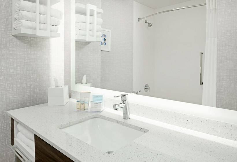 带2个双人床的标准工作室, Hampton Inn Richmondmidlothian Turnpike