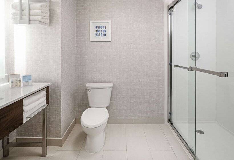 带2个双人床的标准工作室, Hampton Inn Richmondmidlothian Turnpike