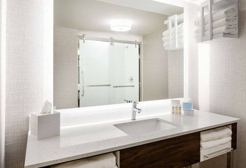 带2个双人床的标准工作室, Hampton Inn Richmondmidlothian Turnpike