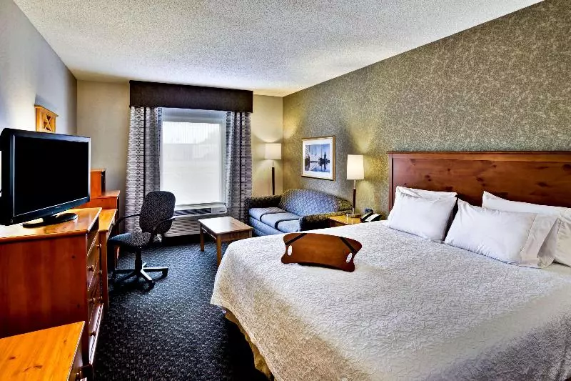 キングサイズベッドのスタンダードルーム, Hampton Inn Seekonk