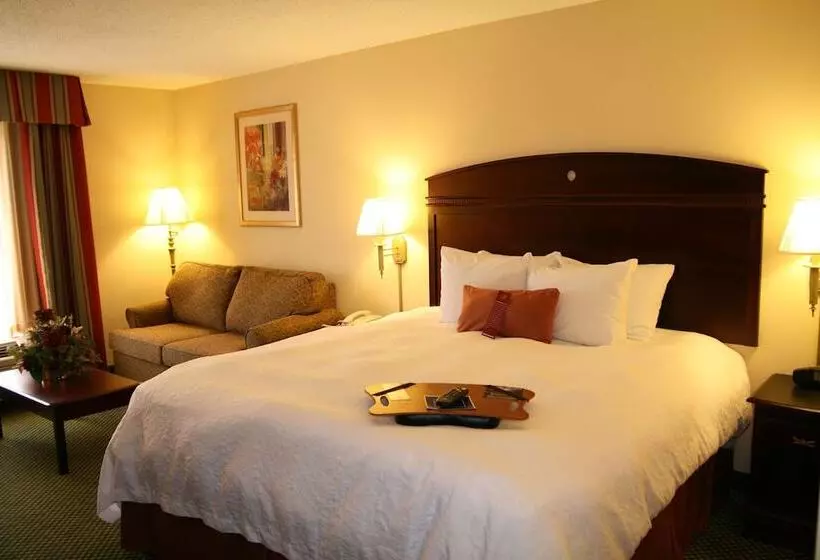 Standard-studio King-vuode, Hampton Inn Stony Creek/petersburg Area
