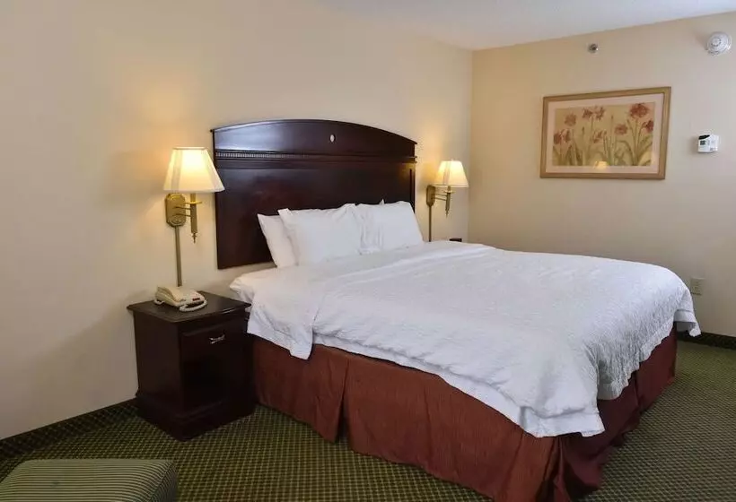 Standard-studio King-vuode, Hampton Inn Stony Creek/petersburg Area