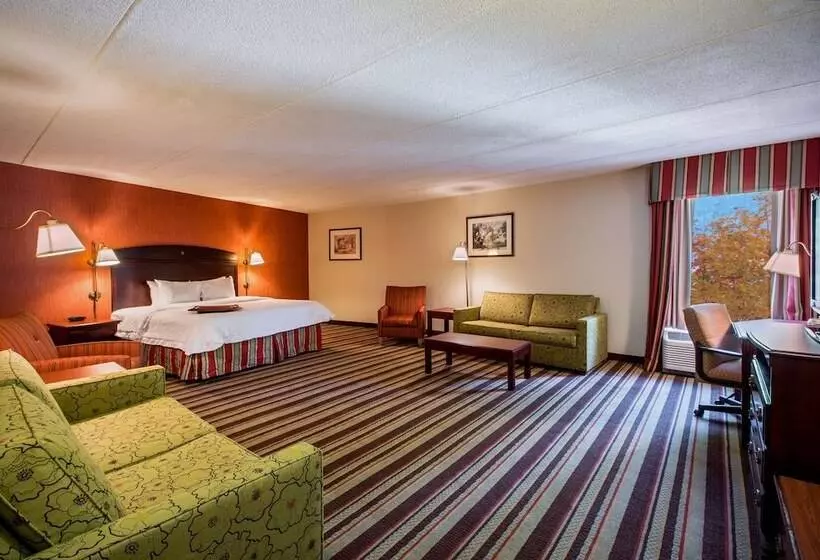 デラックスルーム, Hampton Inn Sturbridge