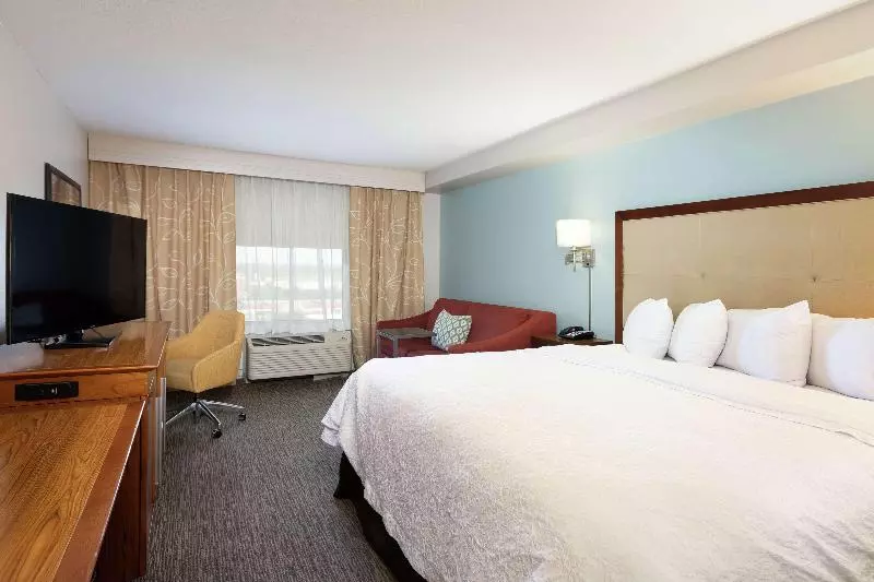اتاق استاندارد با تخت بزرگ, Hampton Inn & Suites Austinairport