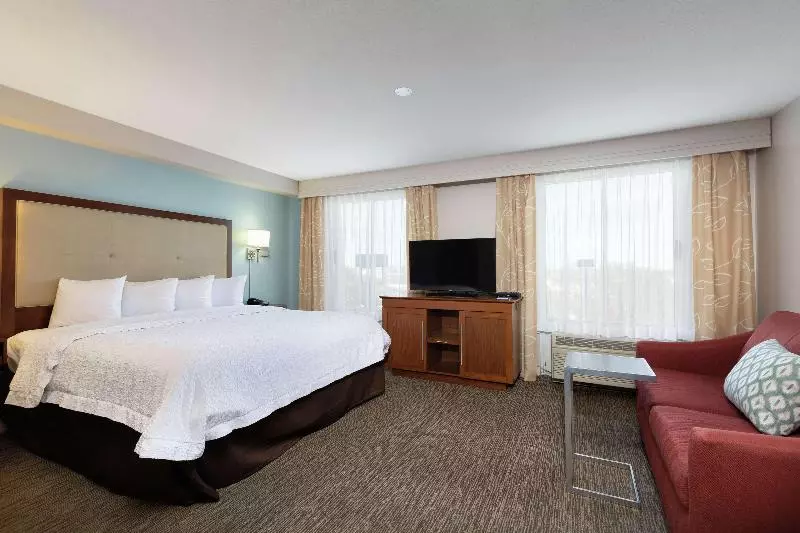 سوئیت با تخت بزرگ, Hampton Inn & Suites Austinairport