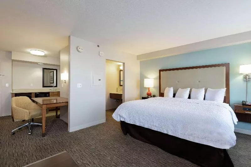 سوئیت با تخت بزرگ, Hampton Inn & Suites Austinairport