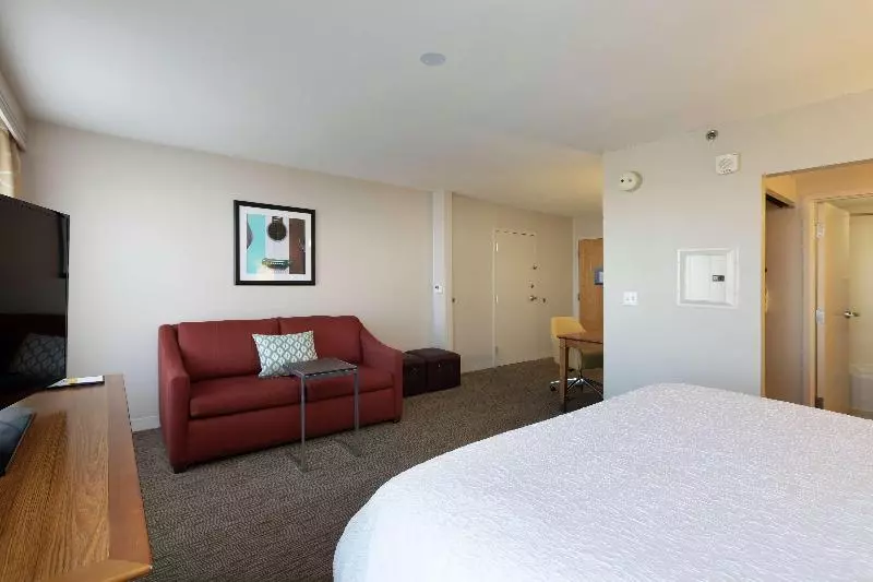 سوئیت با تخت بزرگ, Hampton Inn & Suites Austinairport