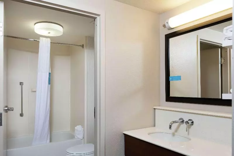 سوئیت با تخت بزرگ, Hampton Inn & Suites Austinairport