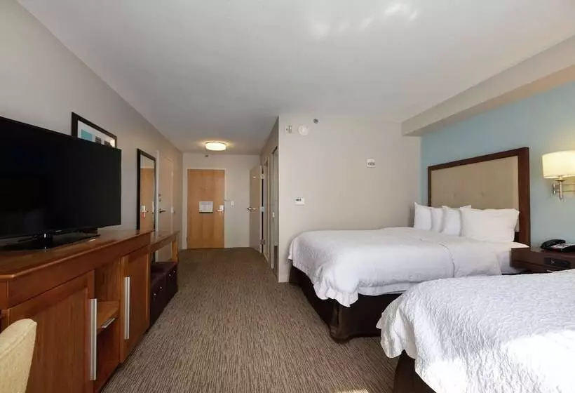 اتاق استاندارد با 2 تخت دوبل, Hampton Inn & Suites Austinairport
