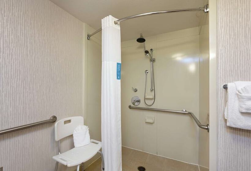 장애인을 위한 스탠다드 룸, Hampton Inn & Suites Austinairport