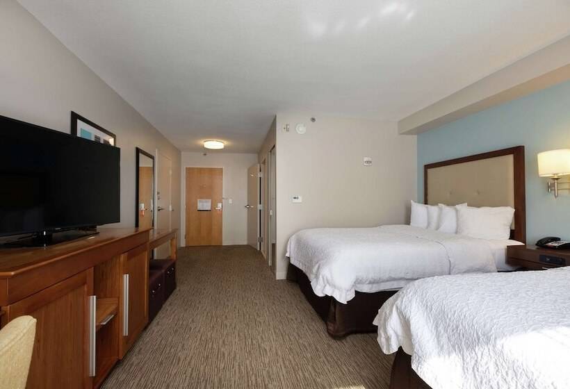 장애인을 위한 스탠다드 룸, Hampton Inn & Suites Austinairport