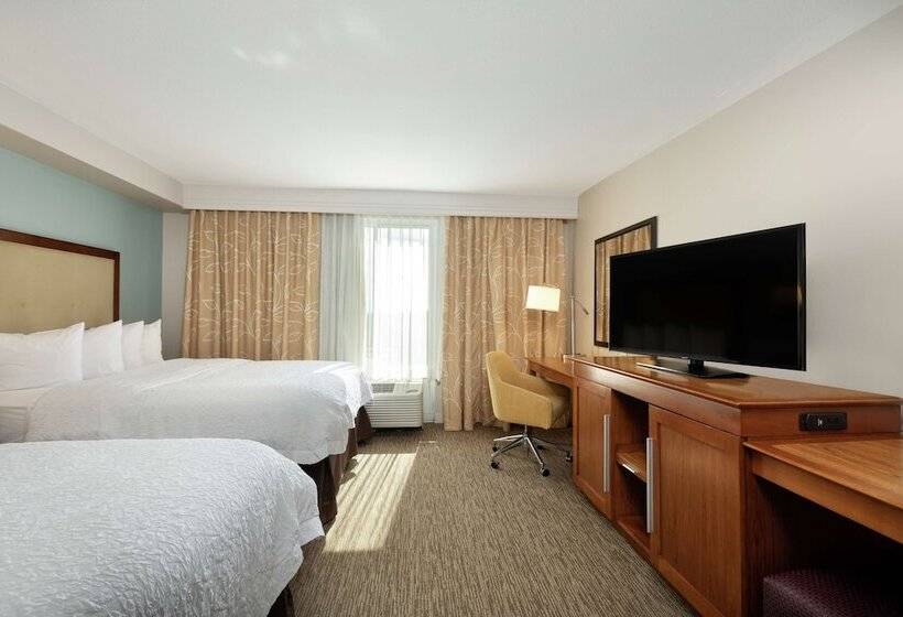 장애인을 위한 스탠다드 룸, Hampton Inn & Suites Austinairport
