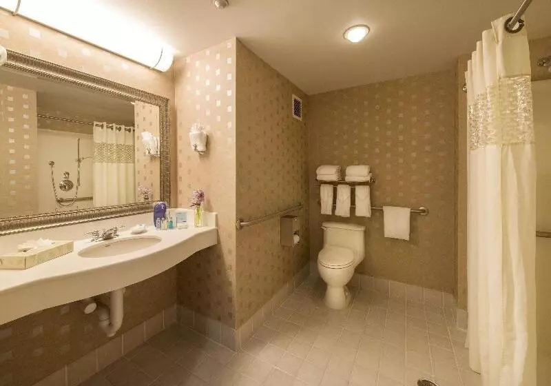 اتاق استاندارد با تخت بزرگ, Hampton Inn & Suites Boston Crosstown Center