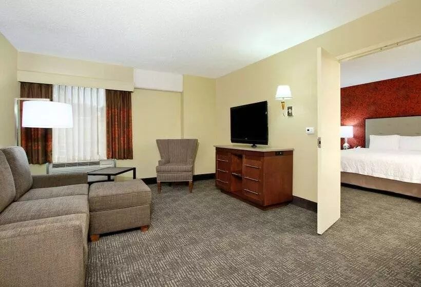 Sviitti, Hampton Inn & Suites Columbusdowntown