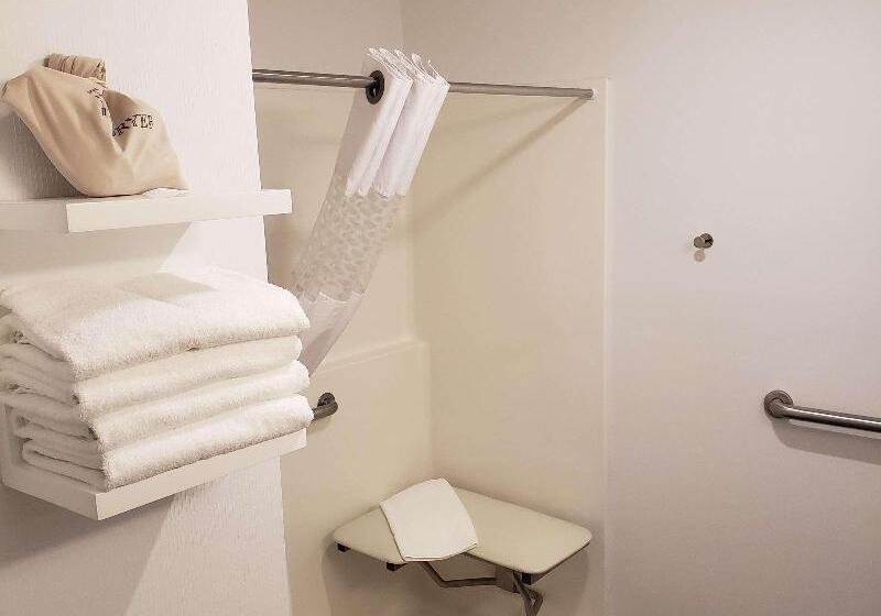 غرفة قياسية سرير كينج, Hampton Inn Tulsa Broken Arrow