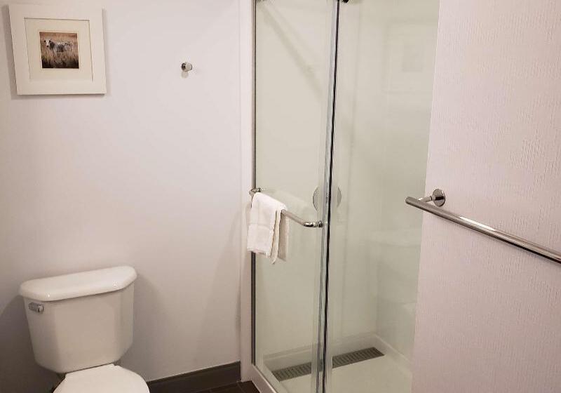 Стандартный Номер Кровать Кинг, Hampton Inn Tulsa Broken Arrow