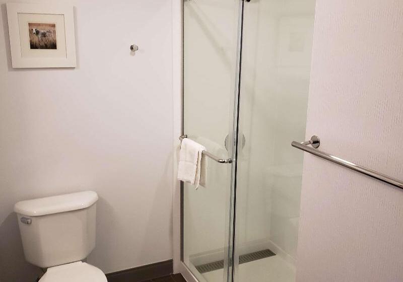 غرفة قياسية سرير كينج, Hampton Inn Tulsa Broken Arrow