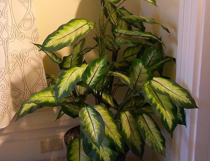 スイート, Lyndon House Bed & Breakfast