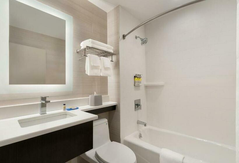 스탠다드 룸 킹사이즈 침대, Holiday Inn Express   Jamaica   Jfk Airtrain   Nyc, An Ihg