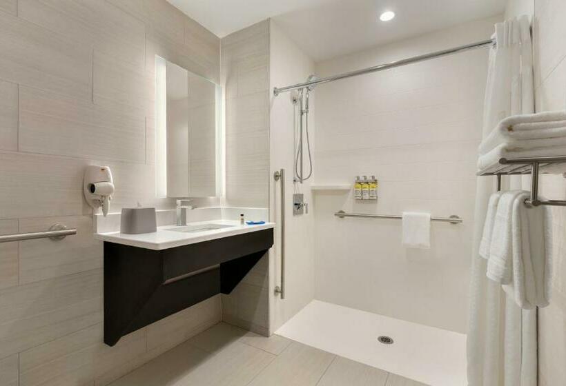 장애인을 위한 킹사이즈 침대 스탠다드 룸, Holiday Inn Express   Jamaica   Jfk Airtrain   Nyc, An Ihg
