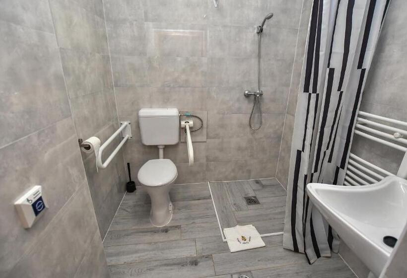 חדר סטנדרט מותאם לאדם עם מוגבלויות, é Vaskó Panzió Borpince