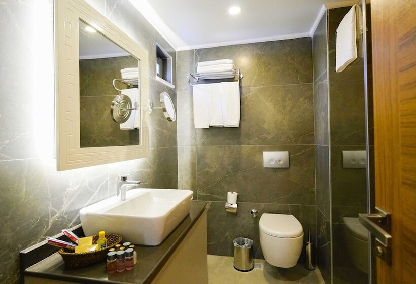 Suite, Green Beyza Suites